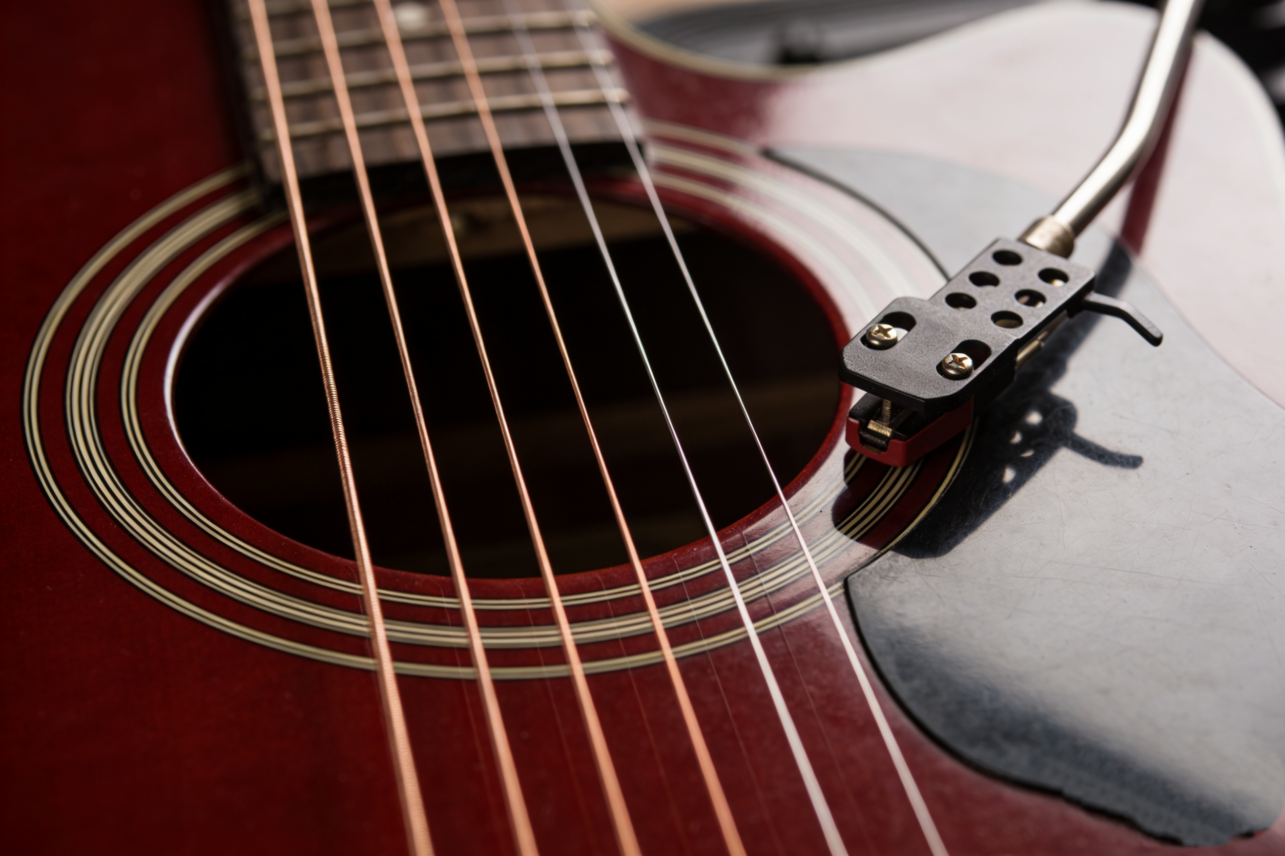 音乐天地｜龙丽蓉原创歌曲《你就是仗着